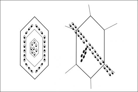 fluid_inclusion_schematic1.jpg